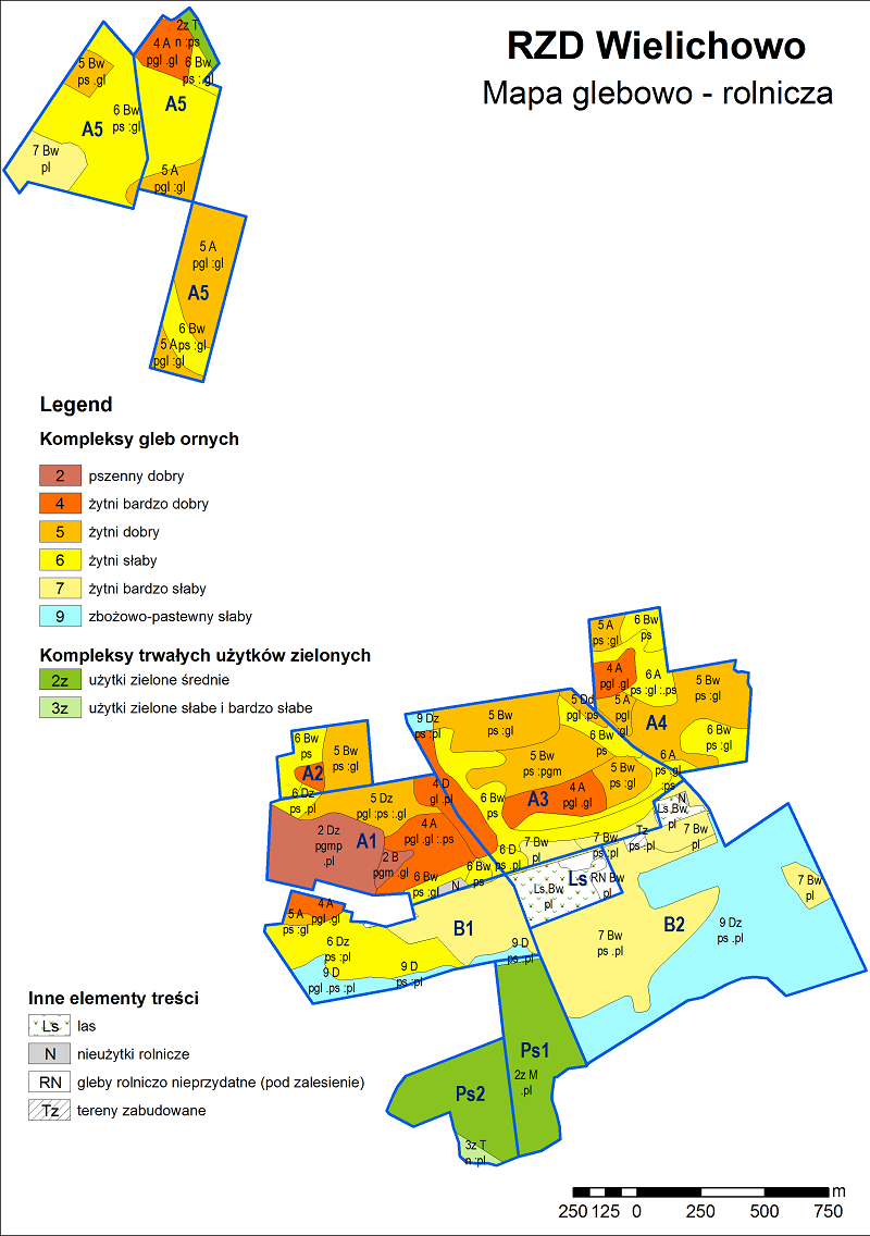 Wielichow mapa gleb