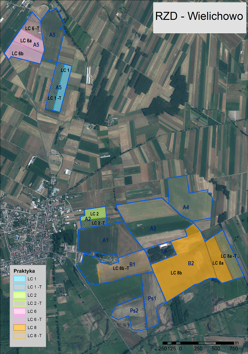Wielichow mapa zarys pol